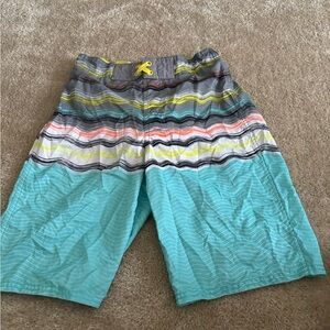 Striped Multicolor Swim Shorts